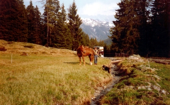 Rast auf der Gerlos